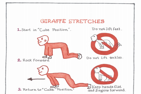 Giraffe Stretches thumbnail