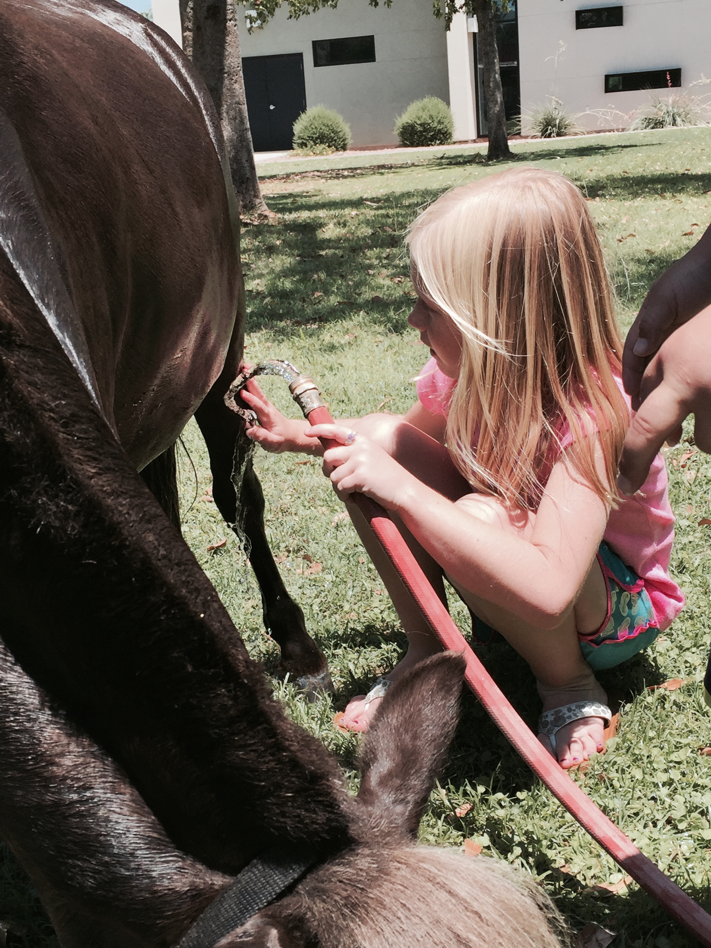 Kid gently hosing horse