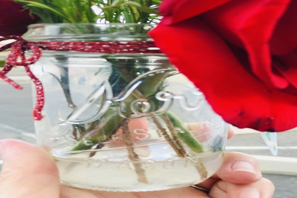 Mason Jar Flower Vase thumbnail